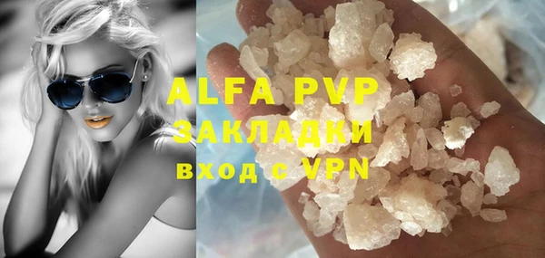 шишки Белокуриха