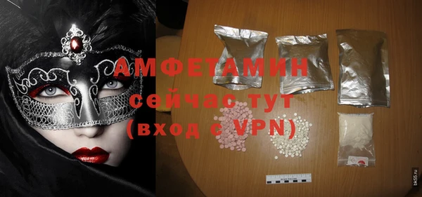 шишки Белокуриха