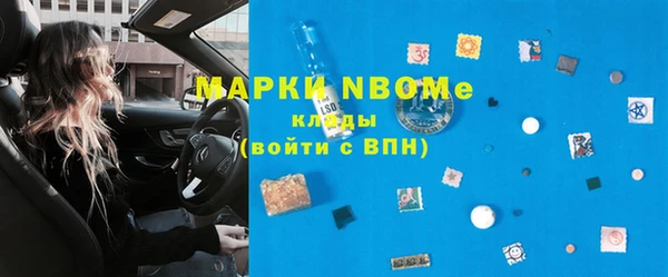 шишки Белокуриха