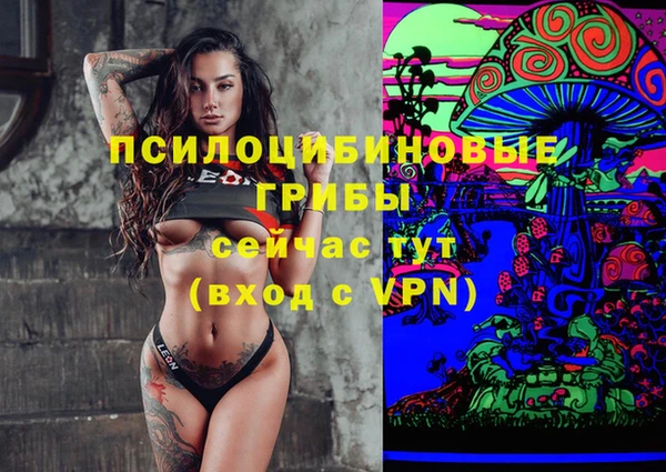 шишки Белокуриха