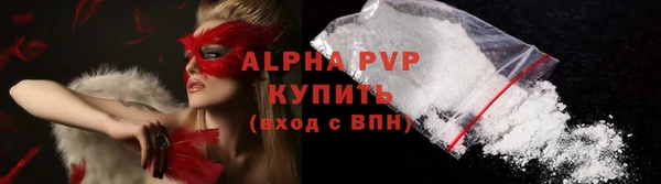 шишки Белокуриха