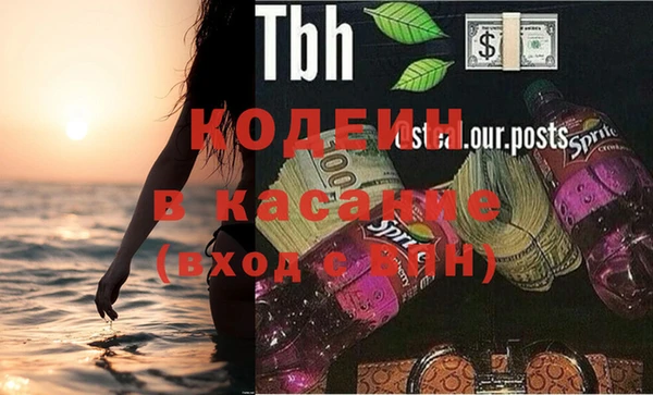 шишки Белокуриха