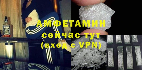 шишки Белокуриха