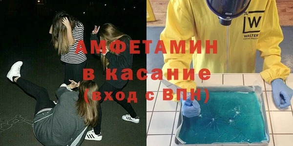 шишки Белокуриха