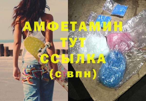 шишки Белокуриха